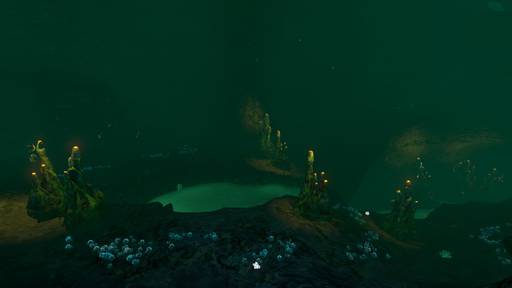 Subnautica - Subnautica - Кости в реке